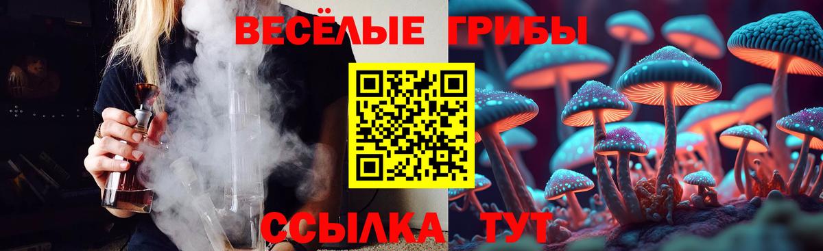 Галлюциногенные грибы прущие грибы Котлас